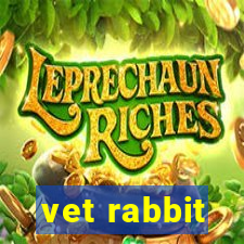 vet rabbit
